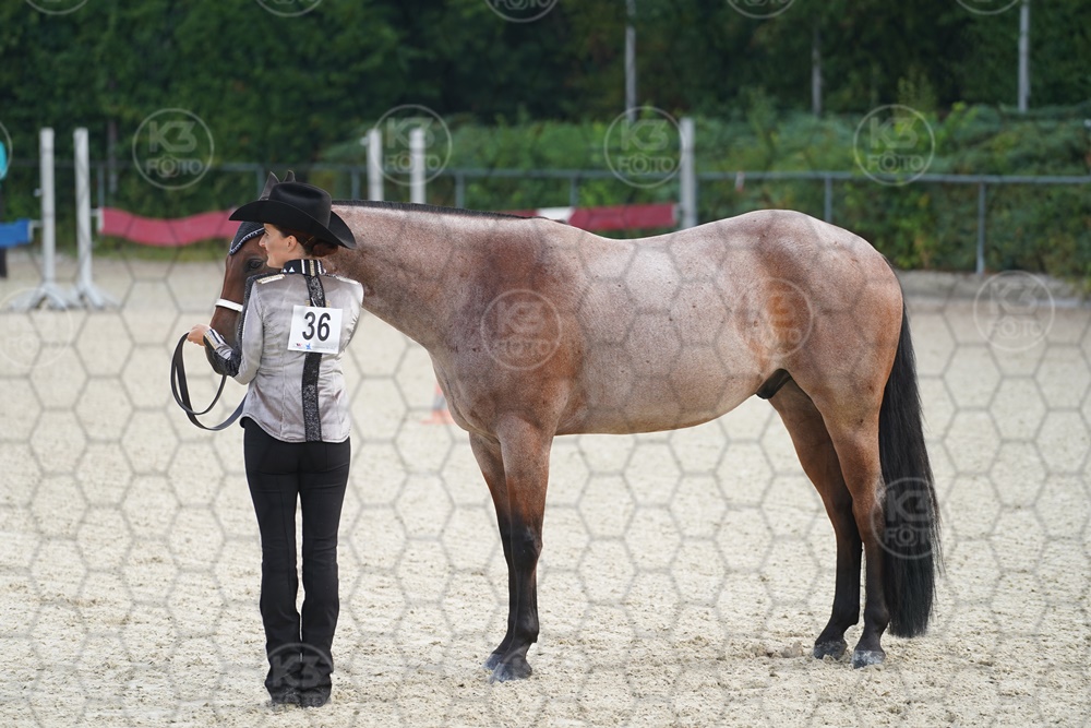 DSC03428.JPG